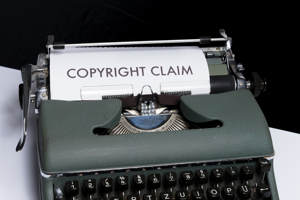 Artist Alleges Resident Evil And Devil May Cry Devs Stole Her Photos, Evidence Revealed
