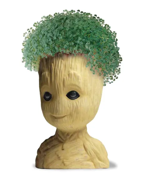 The Coolest Collectibles Coming To San Diego Comic Con