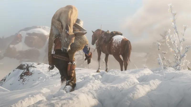 101 Things You Can Do In Red Dead Redemption II