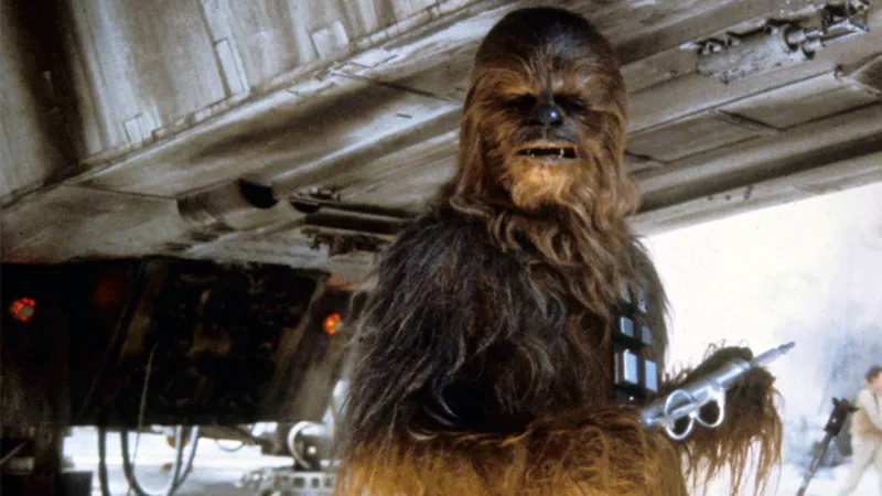 Peter Mayhew, The Original Actor For Chewbacca, Has Died