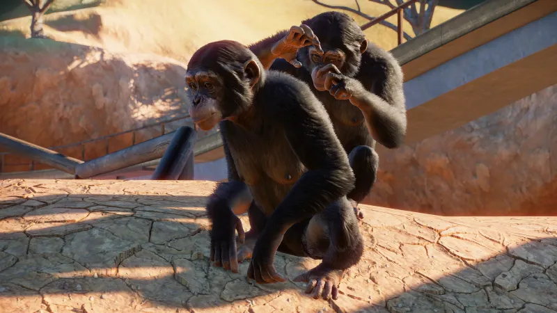 Building Your Zoo The Way You Want It