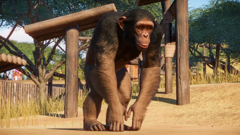 Building Your Zoo The Way You Want It