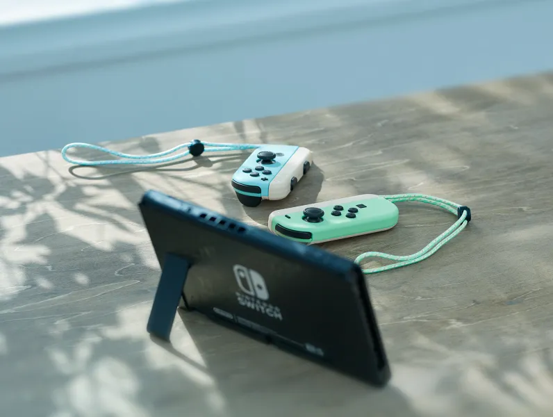 Nintendo Is Releasing A Special Edition Animal Crossing Switch In March
