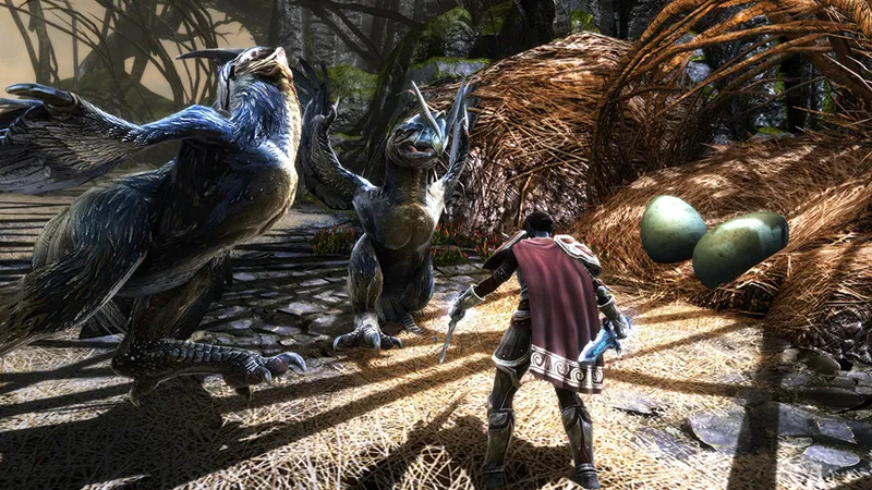 The Kingdoms Of Amalur Re-Reckoning Comes