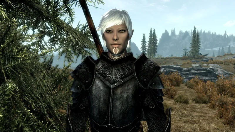 Mod Corner: Dragon Age Invades Skyrim With These BioWare-Inspired Mods