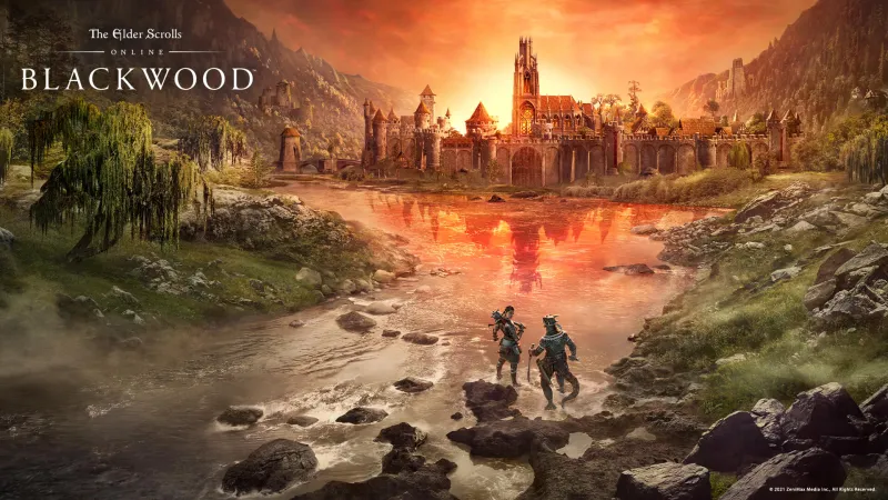 Elder Scrolls Online Creative Director Reflects Back On Rough Launch, "We Didn't Have An Identity" 