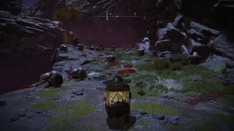 Elden Ring’s Best Rune Farming Location
