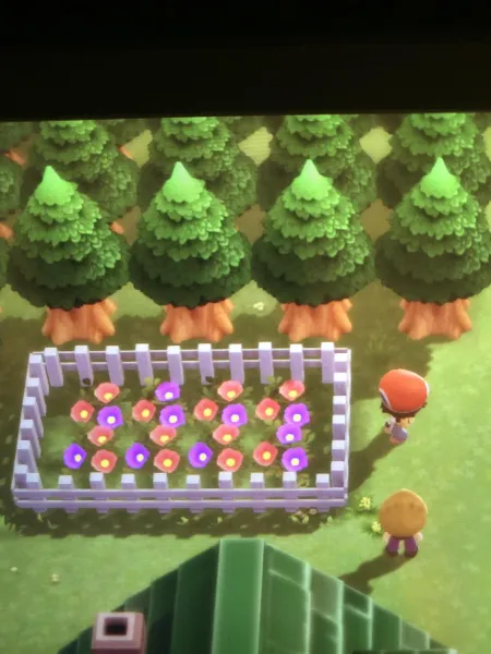 Redditor May Have Found Hints To Pokémon Scarlet And Violet In Recent Pokémon Games 