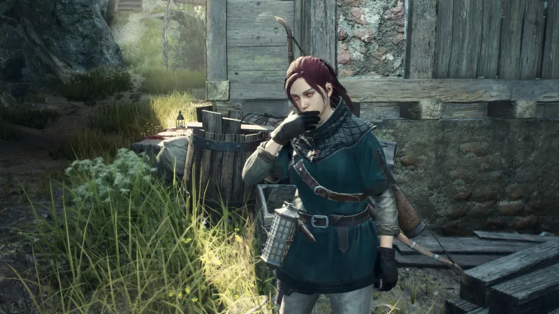 Dragon's Dogma 2 Developers Say New Updates Don't Remove Friction, Just Add Options