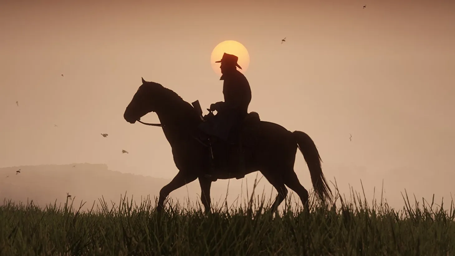 What Are Your Expectations For Red Dead Online?
