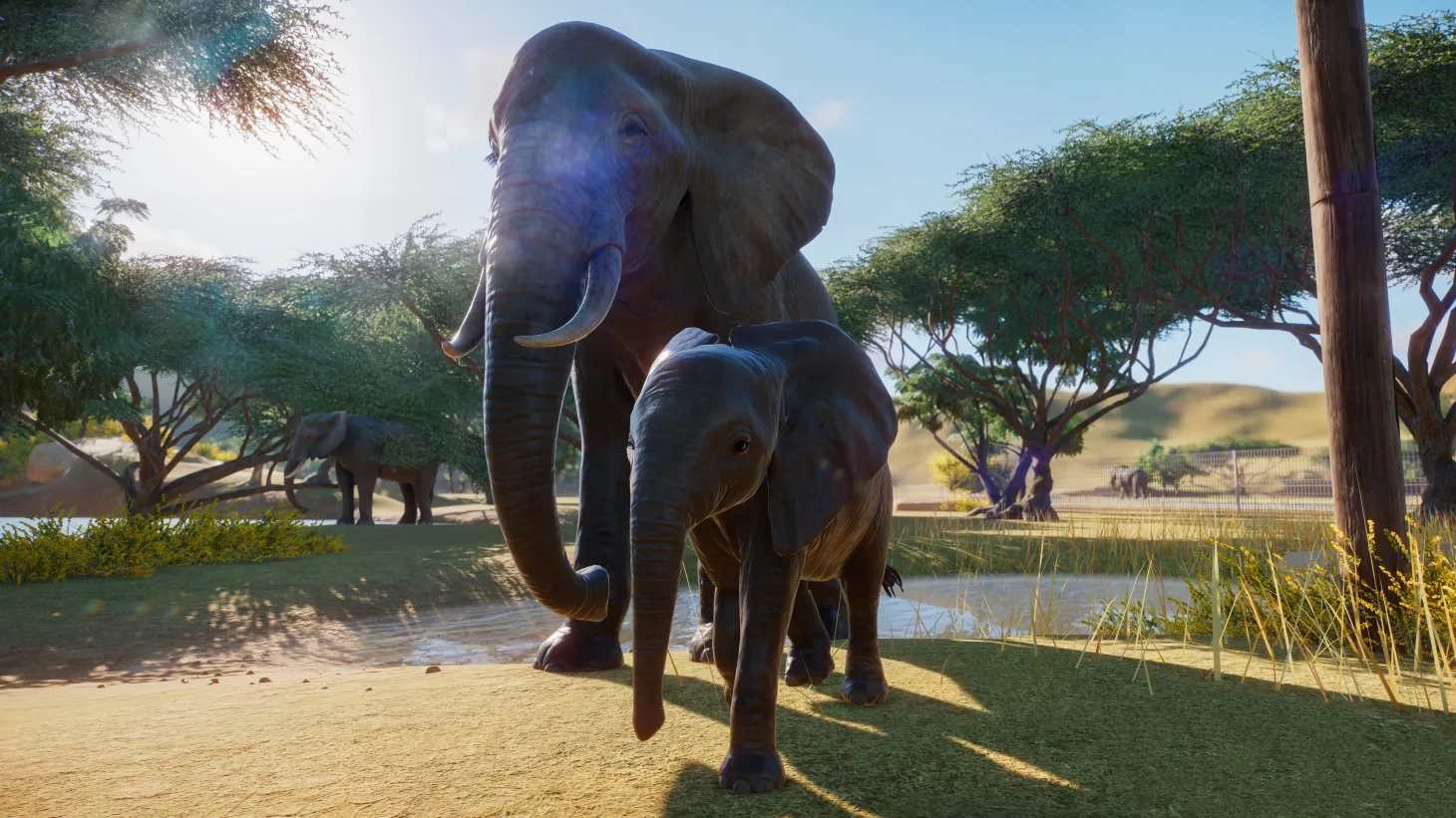 Building Your Zoo The Way You Want It