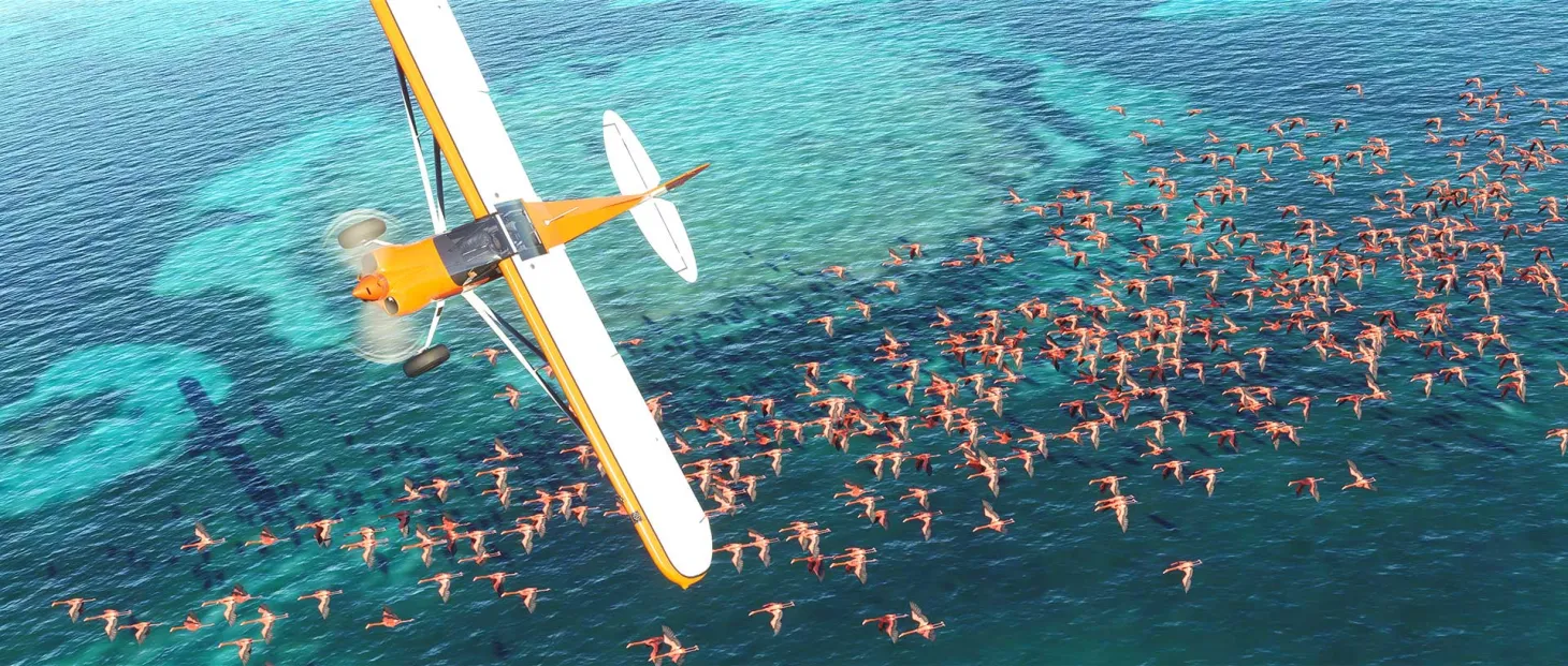 Microsoft Flight Simulator Devs Commit To Community Content Creation And Accessibility