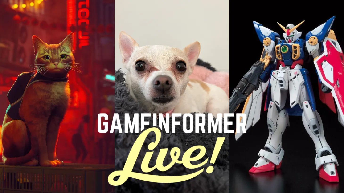 Let's Play Stray, Hang With Dogs, And Build A Gundam | Game Informer Live