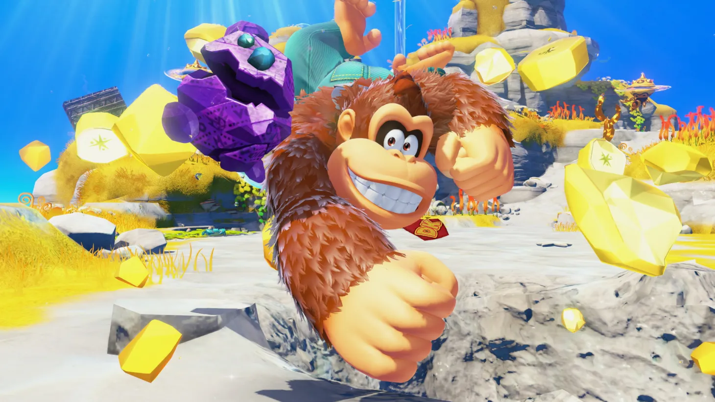 Donkey Kong Bananza Afterwards - Barrels Of Destruction