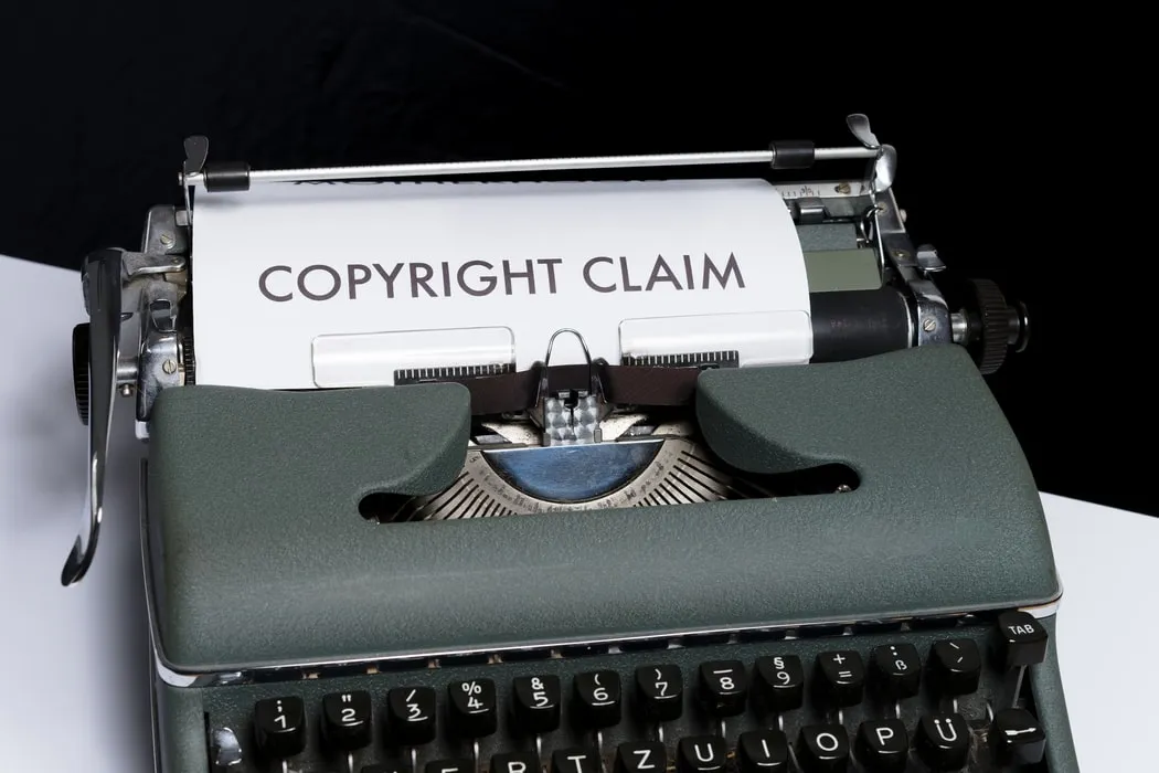 Artist Alleges Resident Evil And Devil May Cry Devs Stole Her Photos, Evidence Revealed