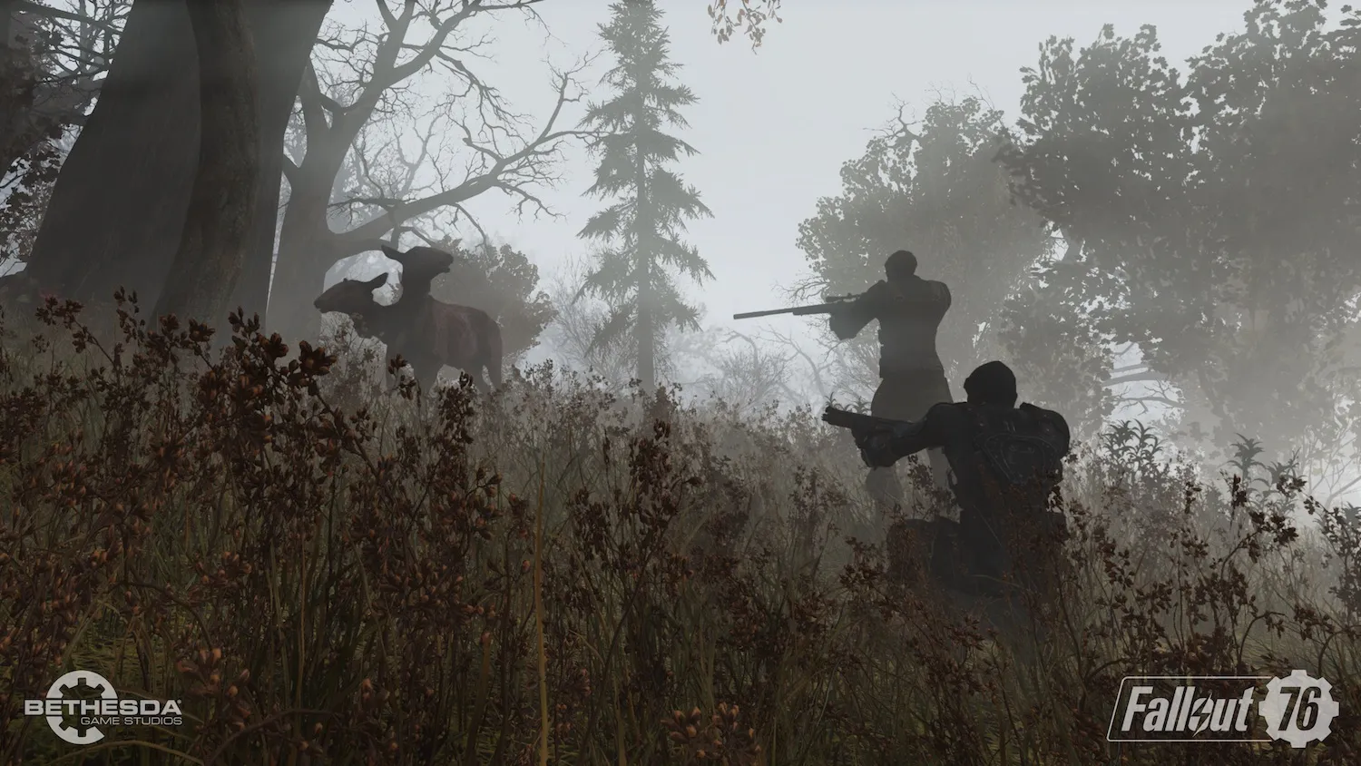 What Works And What Doesn't In Fallout 76