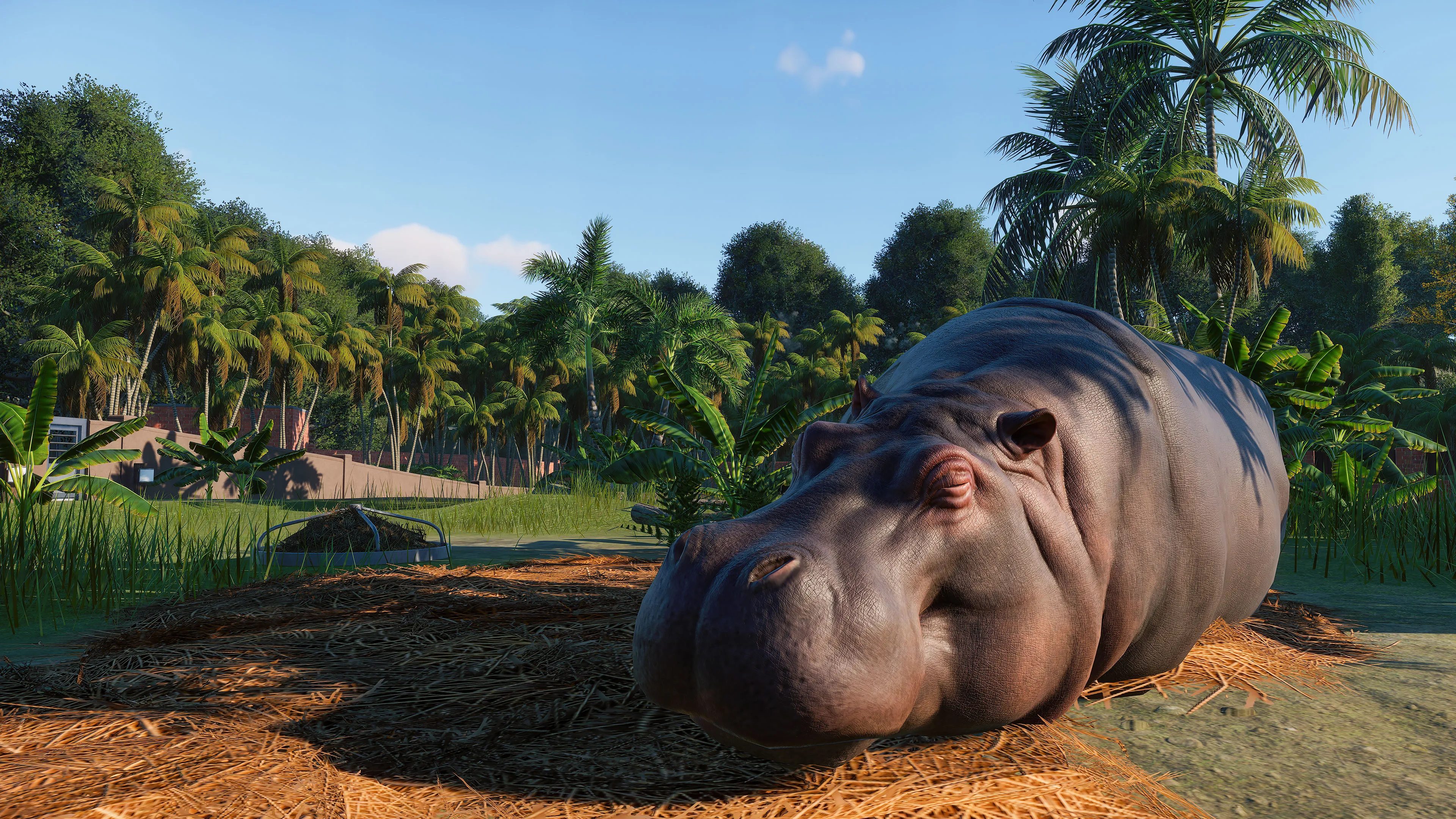 Five Reasons Planet Zoo Is Promising