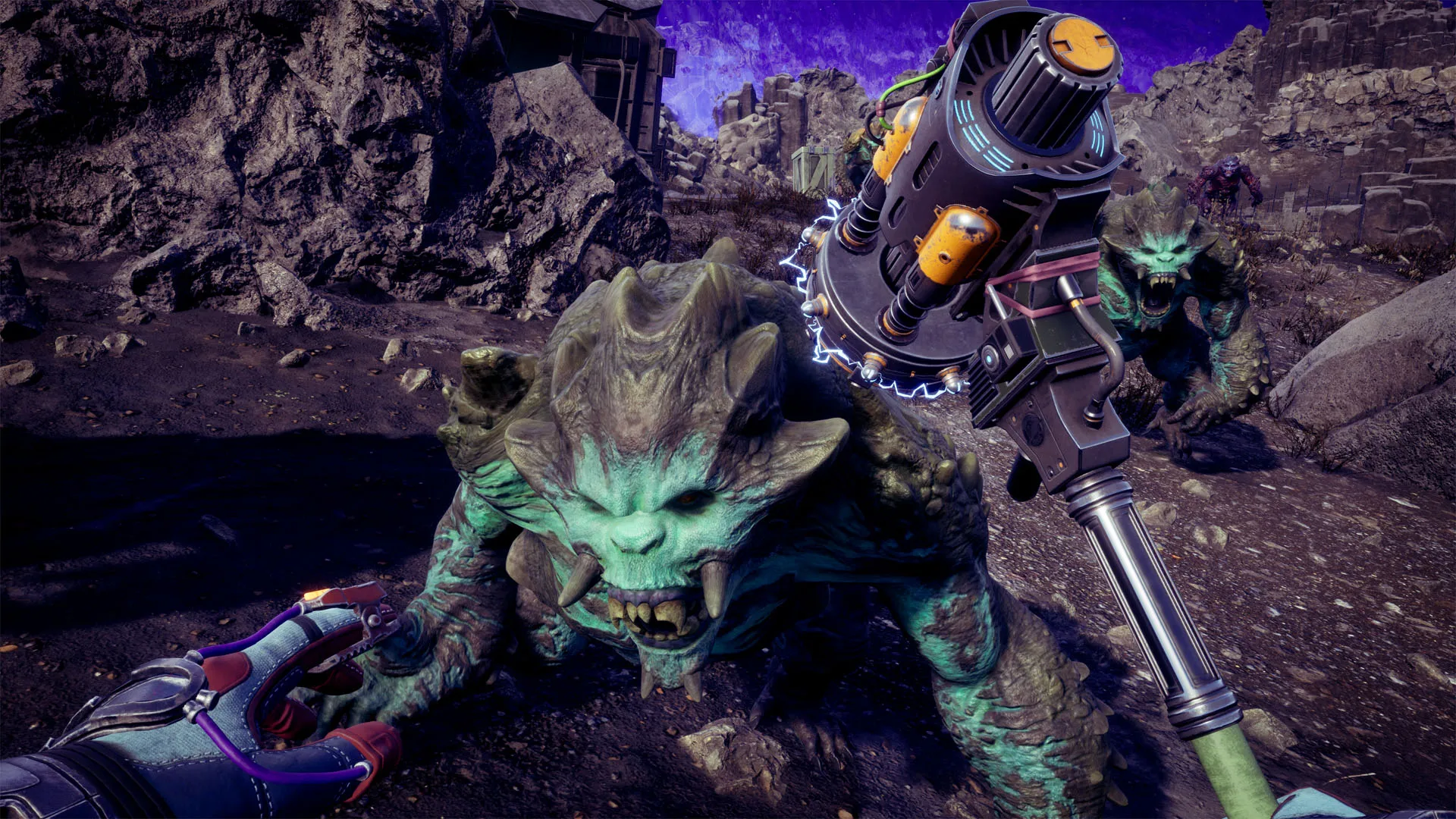 Meet Nyoka, Your New Companion