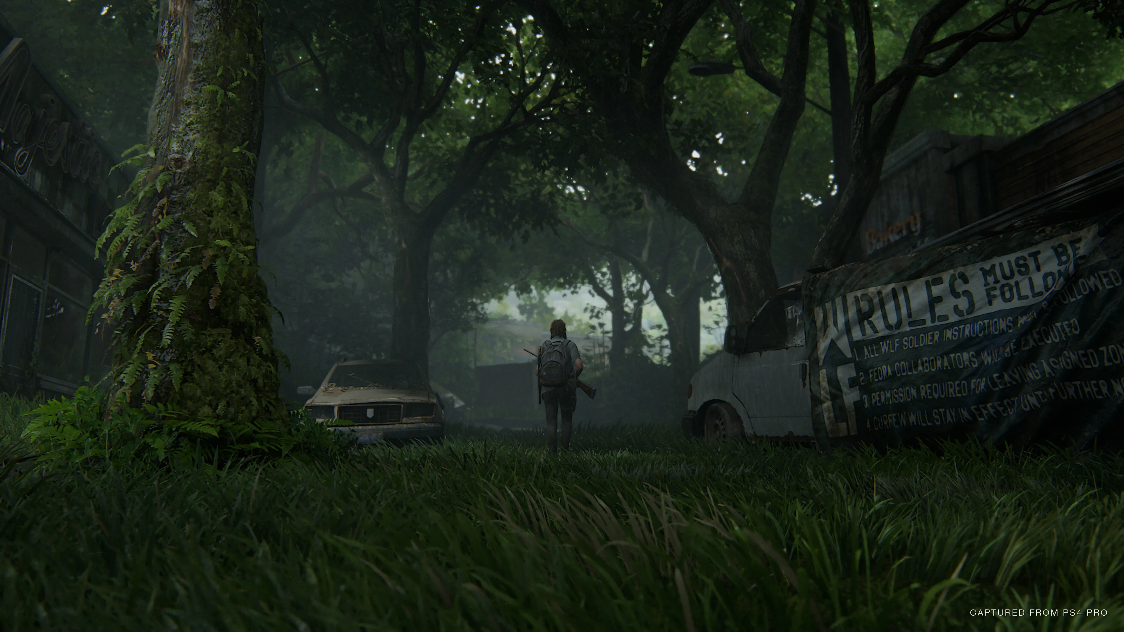 A Spoiler-Free Overview Of The Last Of Us Part II