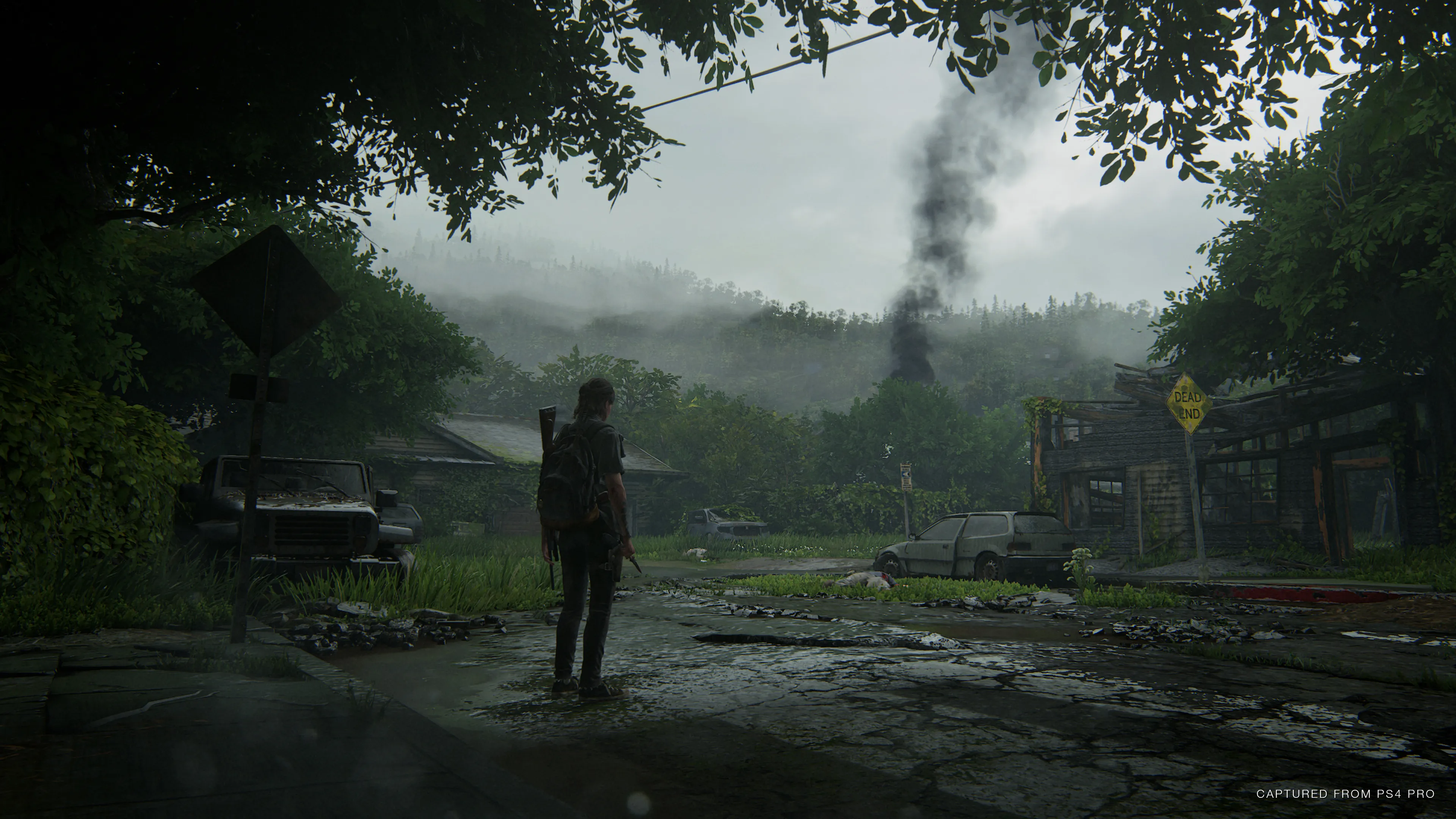 A Spoiler-Free Overview Of The Last Of Us Part II