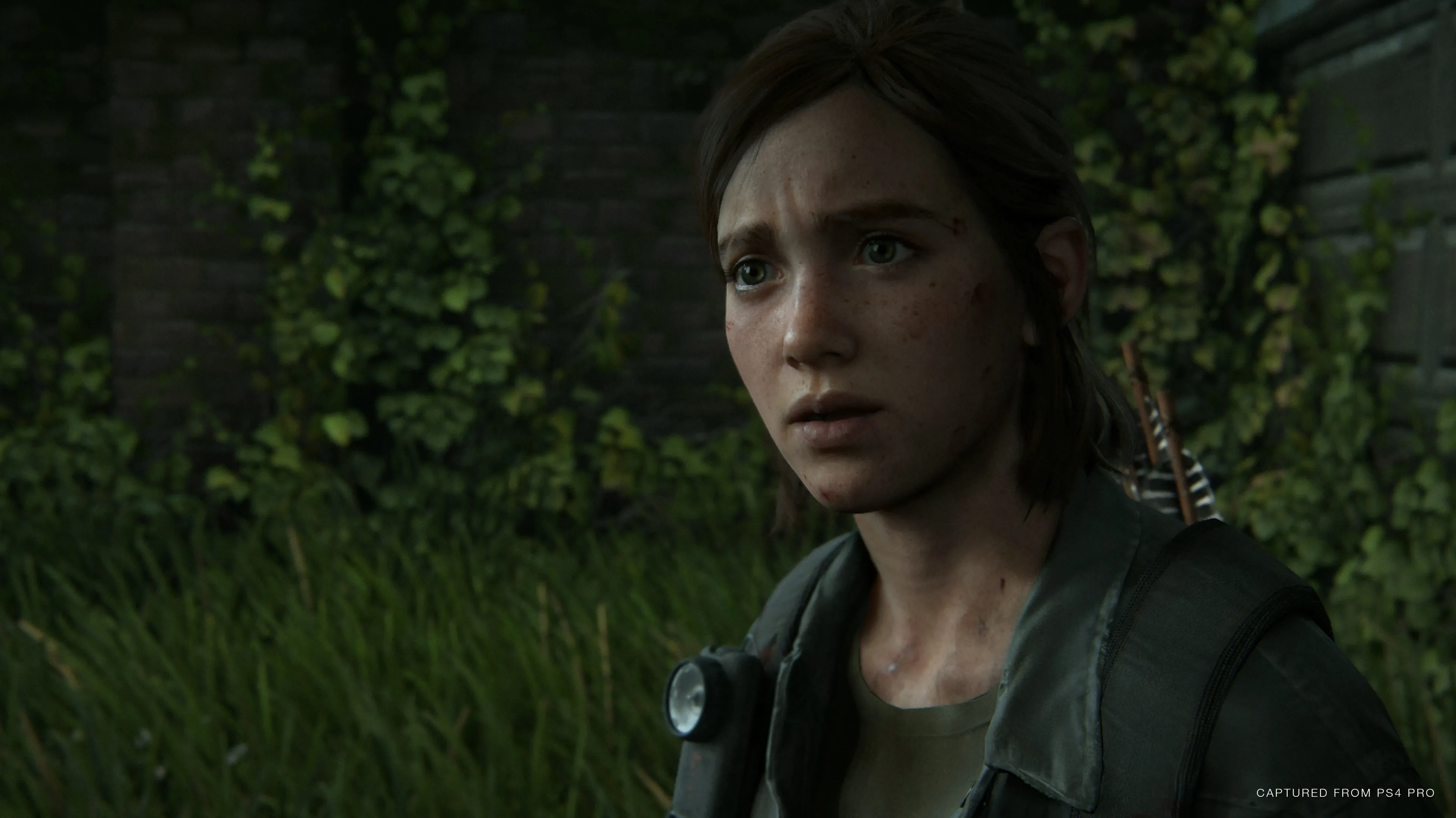 A Spoiler-Free Overview Of The Last Of Us Part II