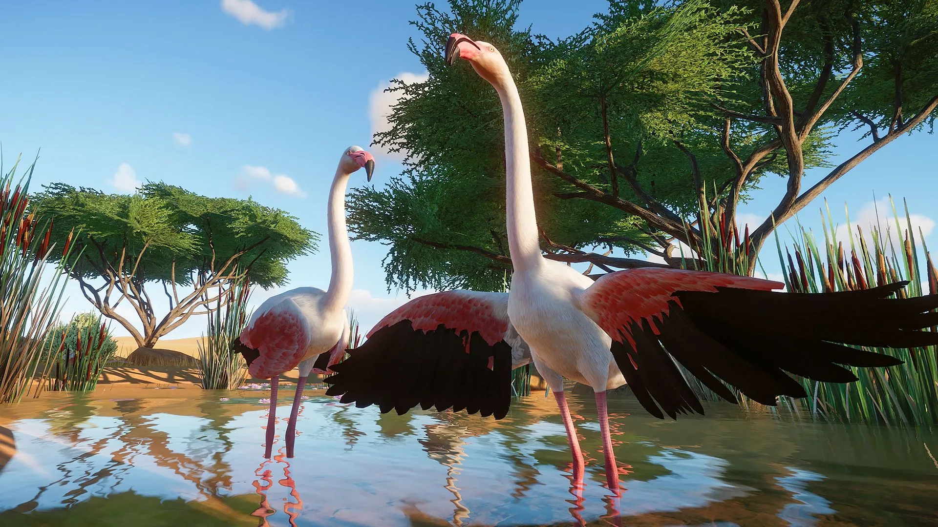 Planet Zoo Review – Wearing Down Barriers
