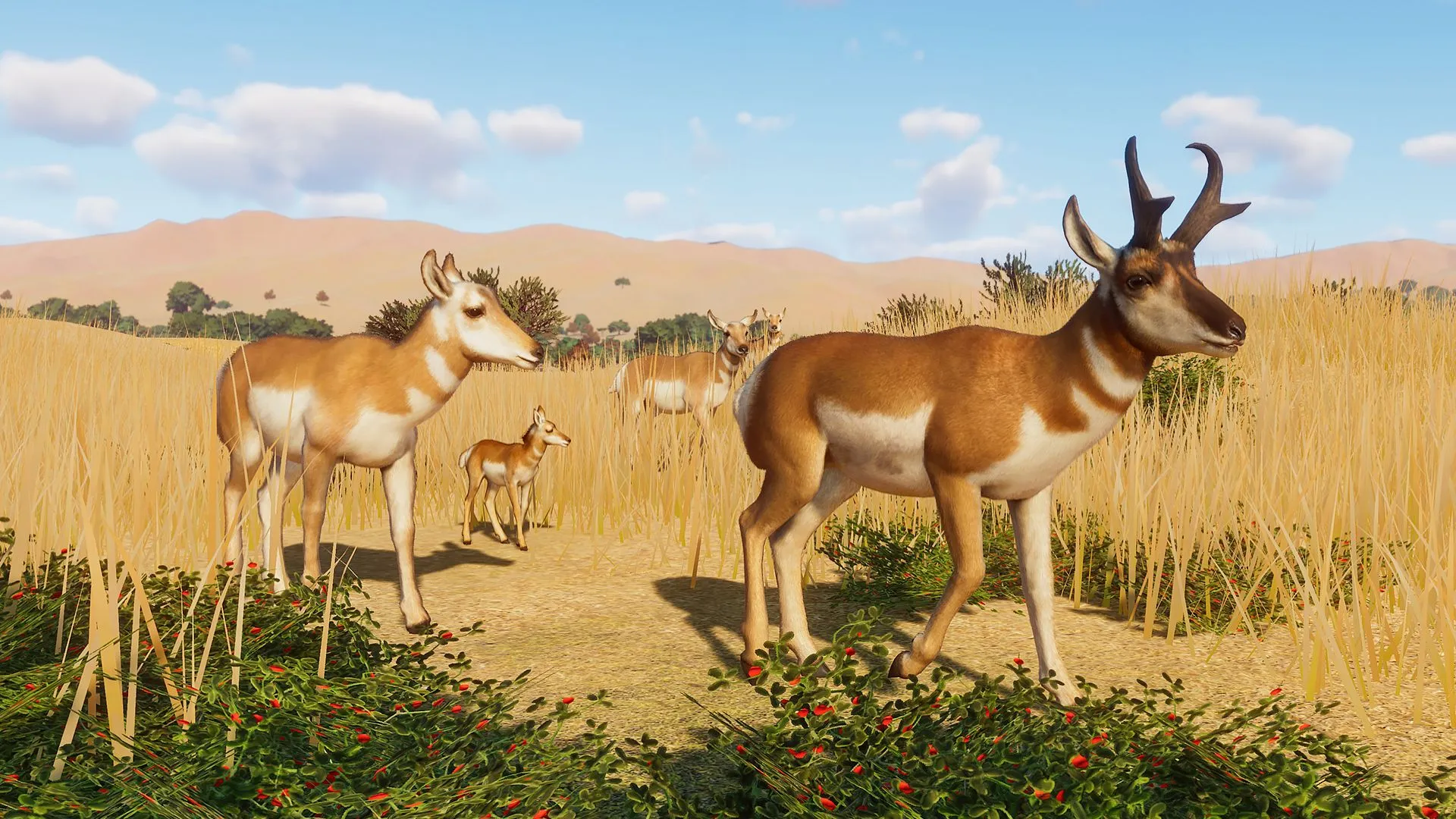 Planet Zoo Review – Wearing Down Barriers
