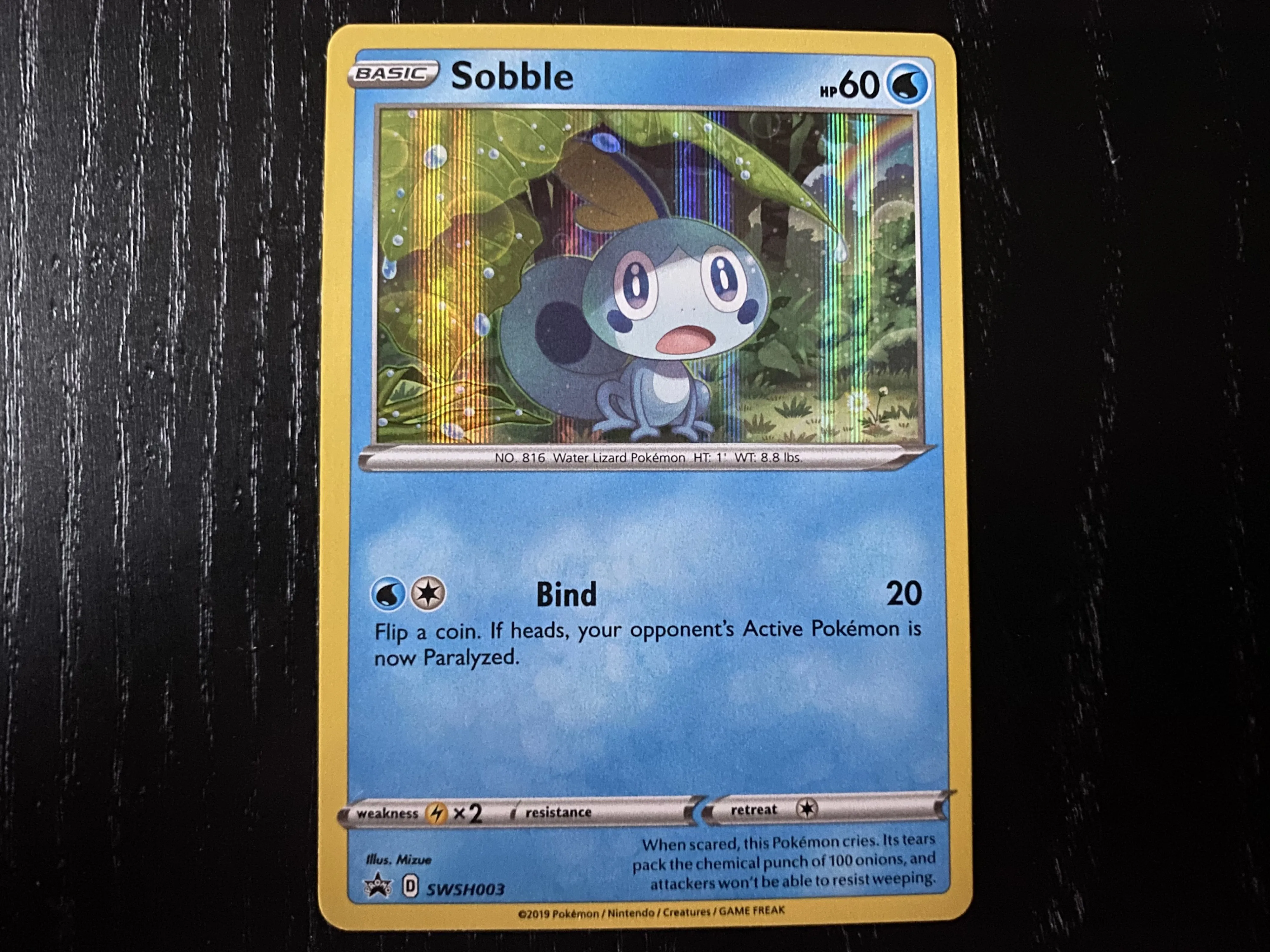Check Out The First Few Pokémon Sword & Shield Cards From The Galar Collection Boxes