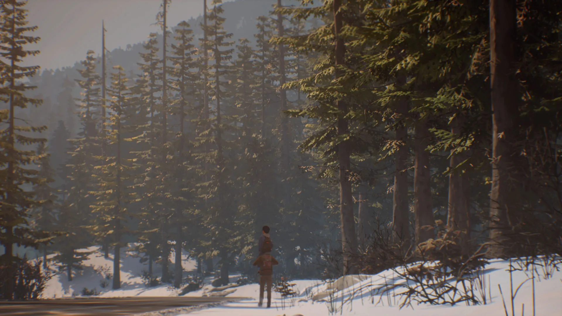 Life Is Strange 2 Review – Setting A Good Example