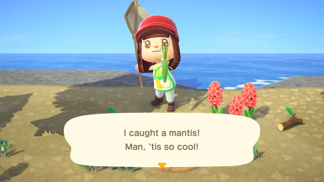 A Wholesome Island Oasis