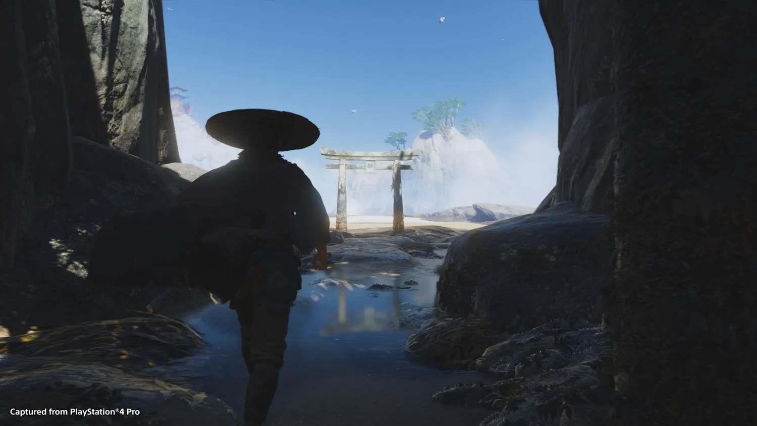 The Life Of The Samurai