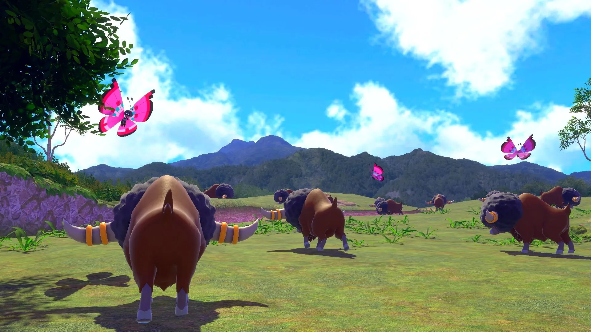 New Pokémon Snap Announced For Switch