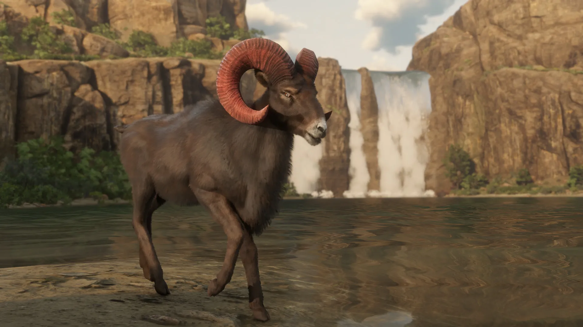 Red Dead Online Invites You To Track And Study Animals As The Naturalist