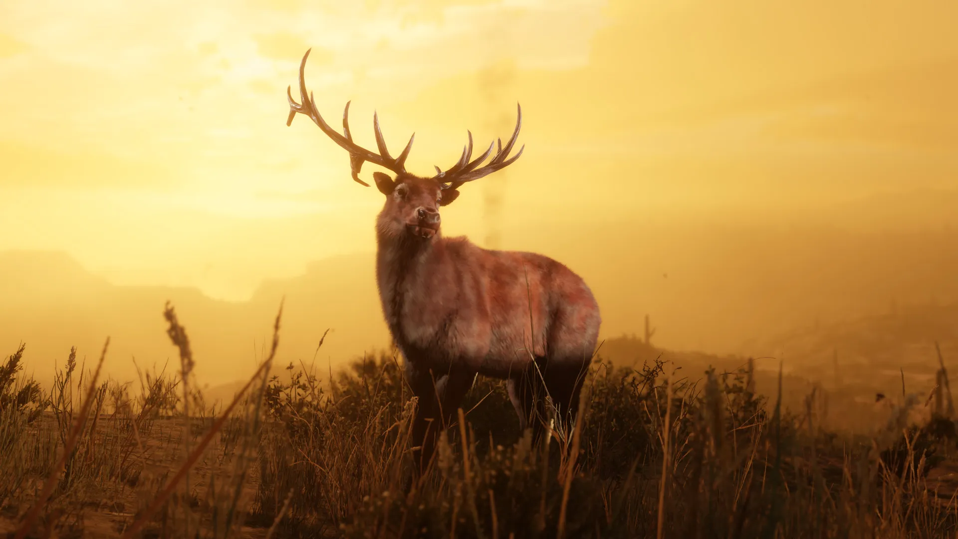 Red Dead Online Invites You To Track And Study Animals As The Naturalist