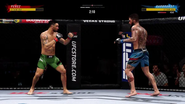 Using EA Sports UFC 4 To Predict How UFC Tournaments Would Play Out In 2021