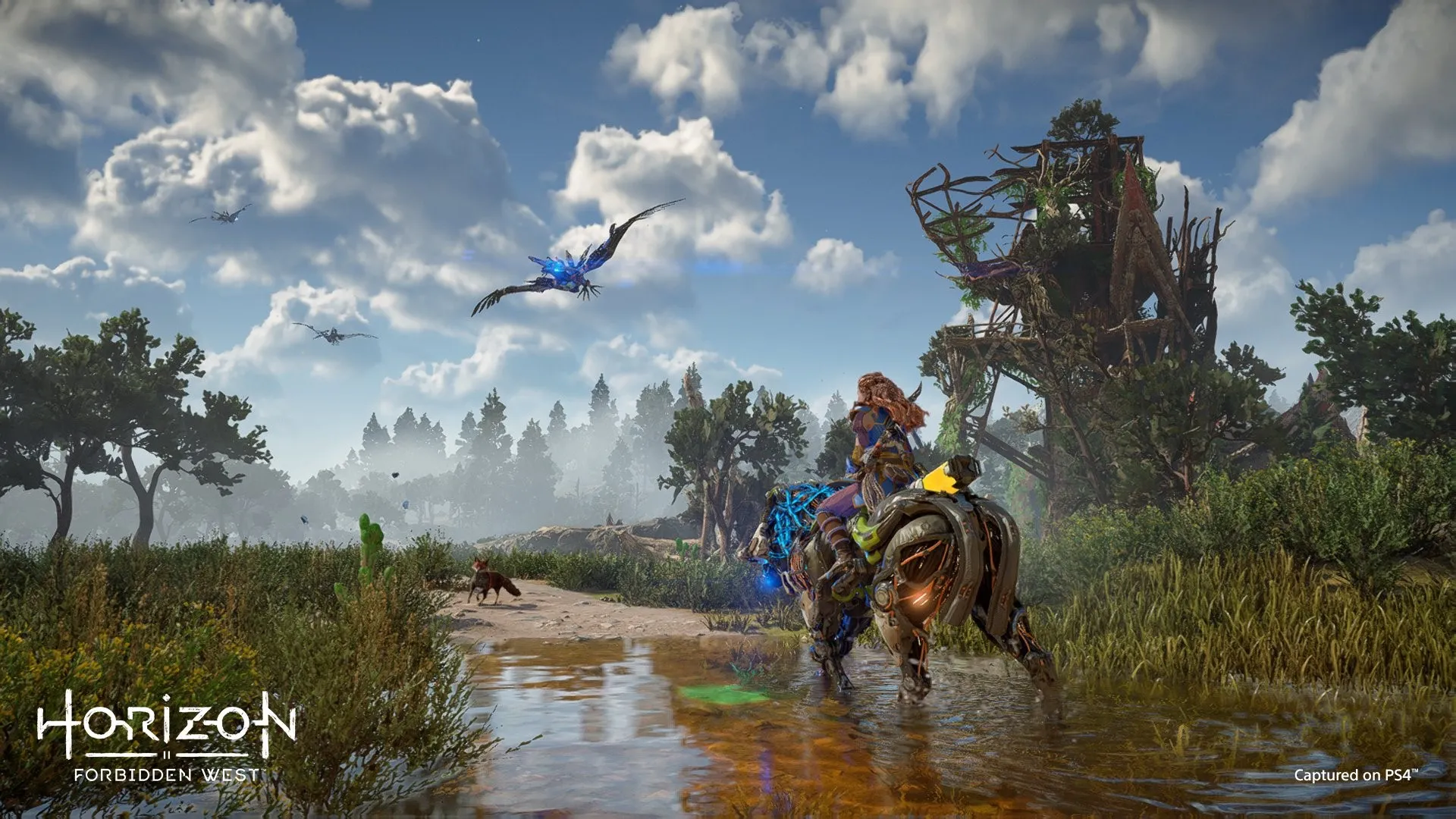 Guerrilla Shares Images Of Horizon Forbidden West Running On PlayStation 4