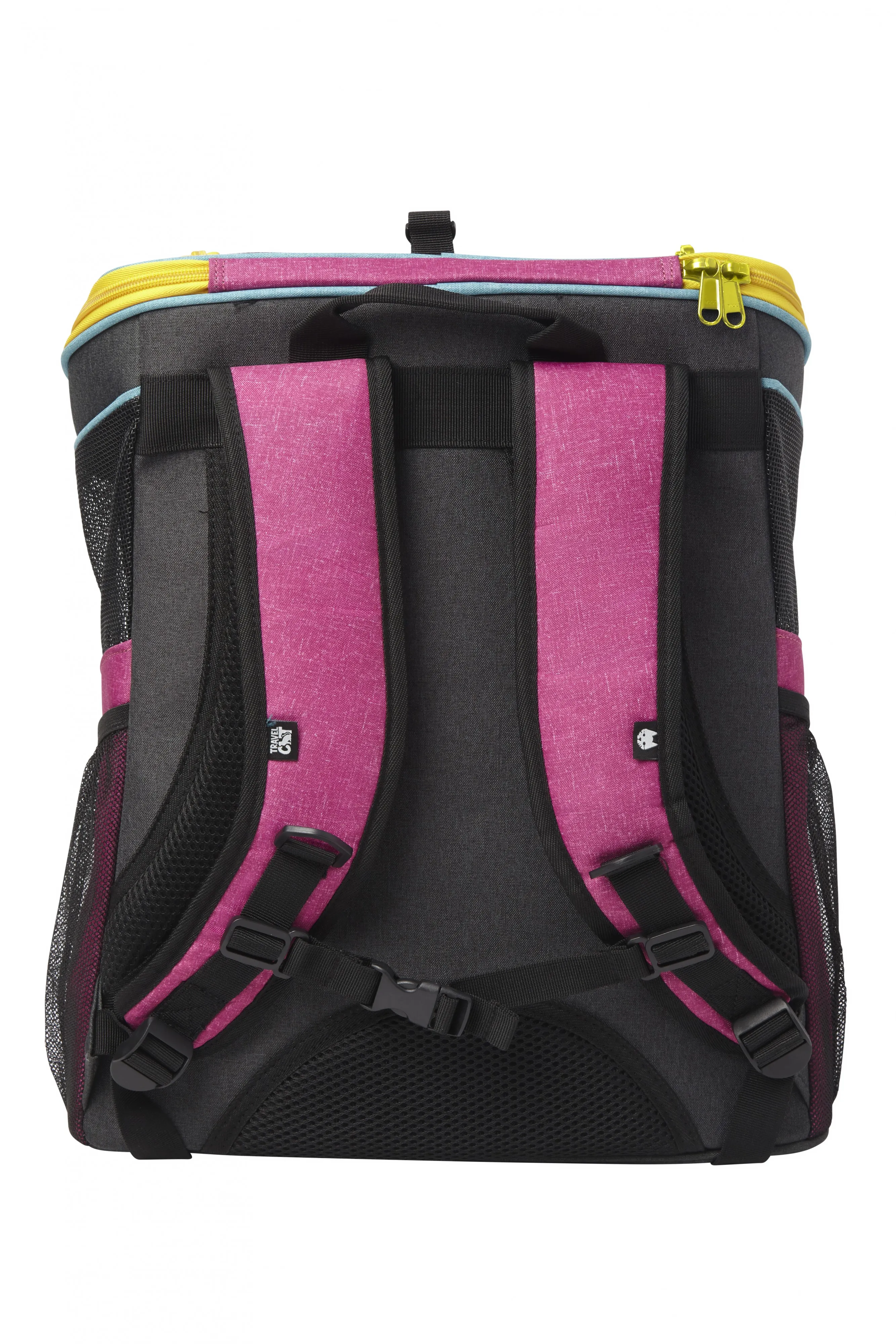 These Stray-Branded Accessories Let You Transport Your Cat With Futuristic Flair 