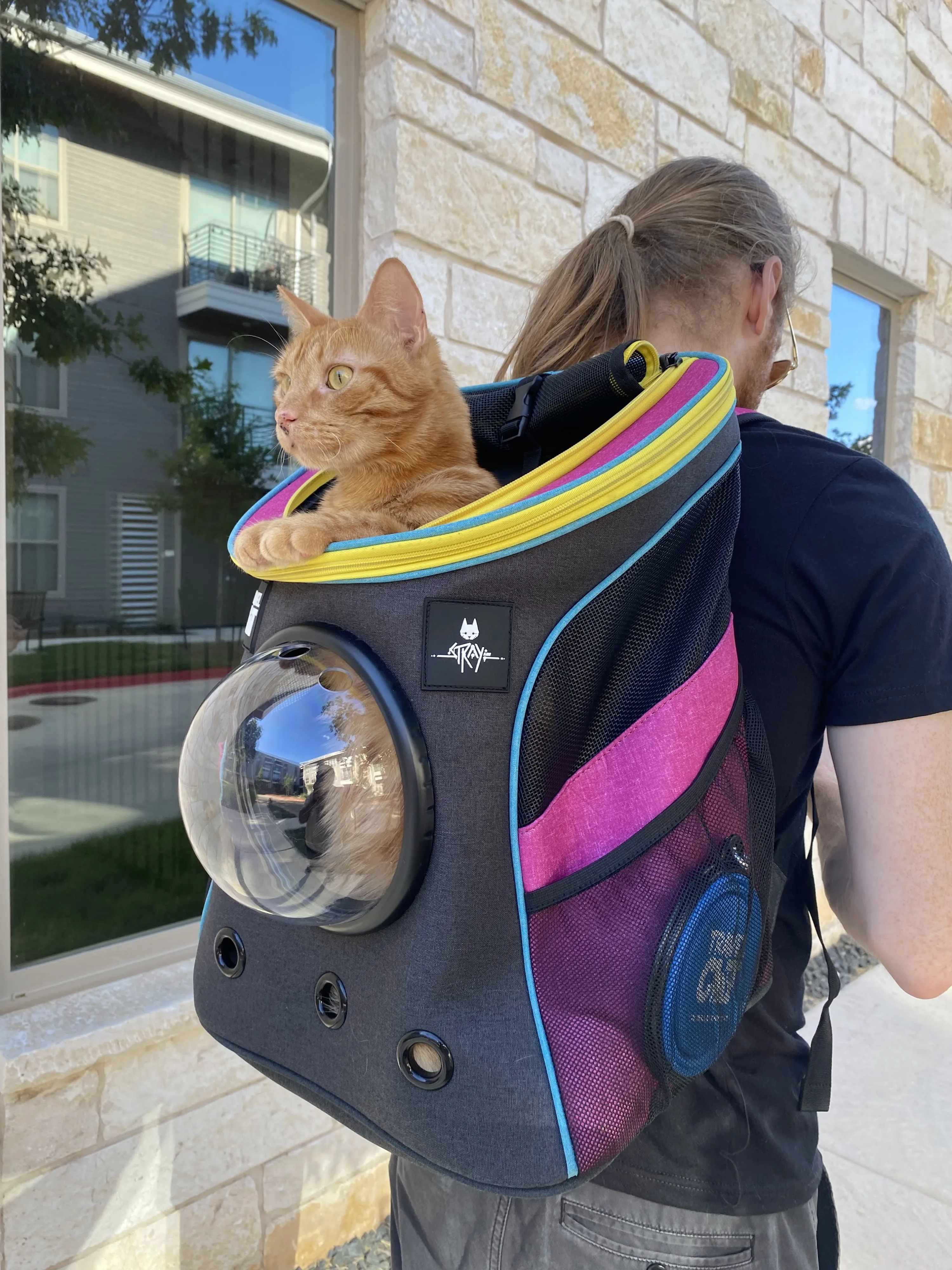These Stray-Branded Accessories Let You Transport Your Cat With Futuristic Flair 