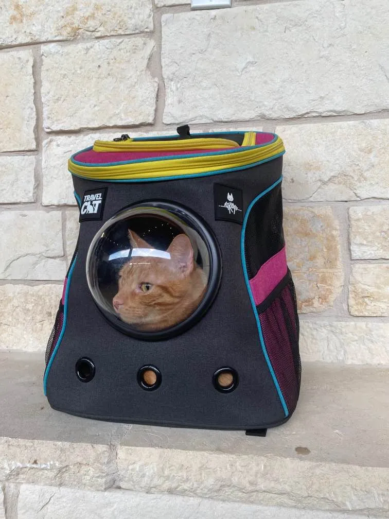 These Stray-Branded Accessories Let You Transport Your Cat With Futuristic Flair 