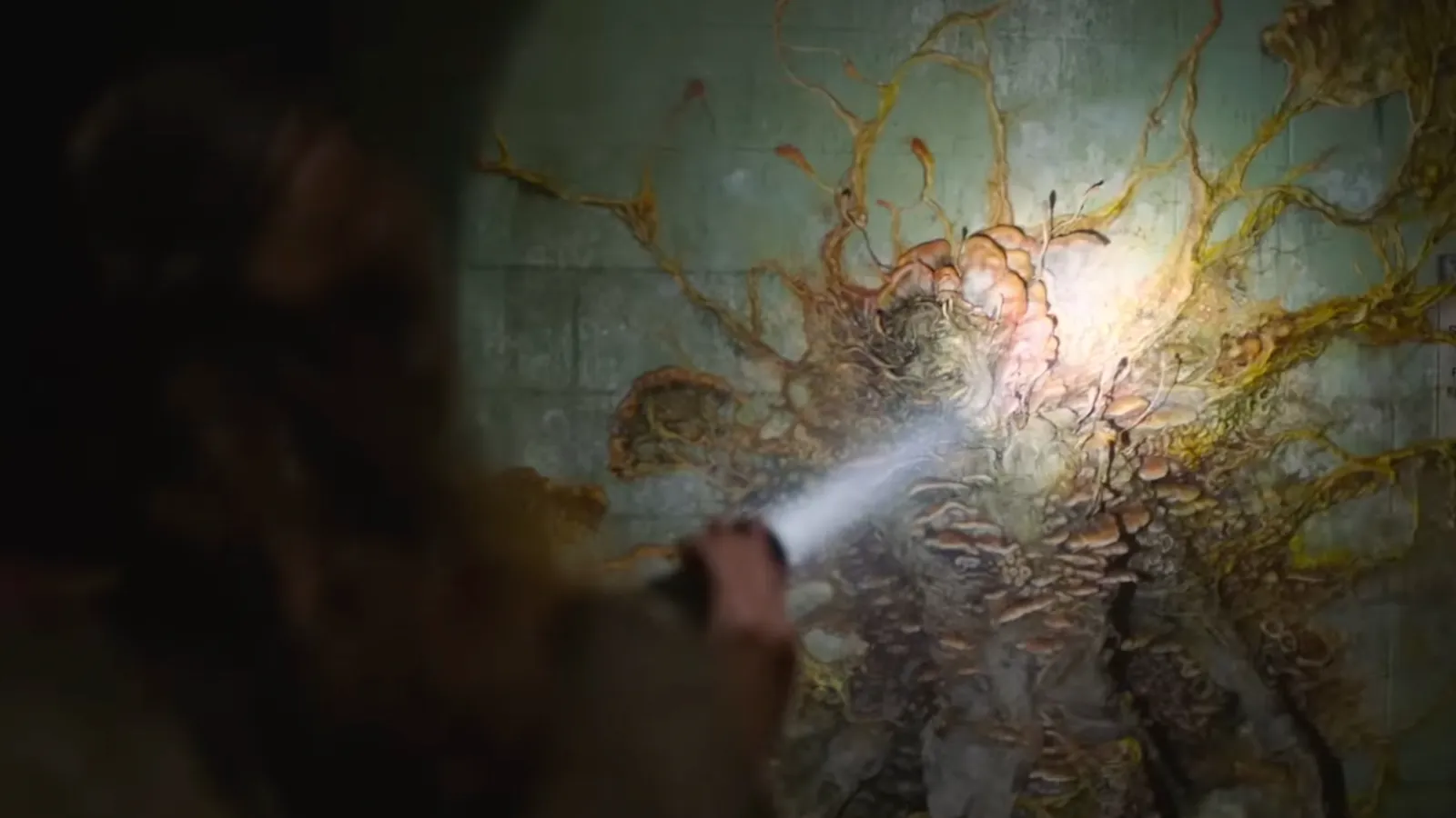HBO Releases First Footage From The Last Of Us Show Coming Next Year