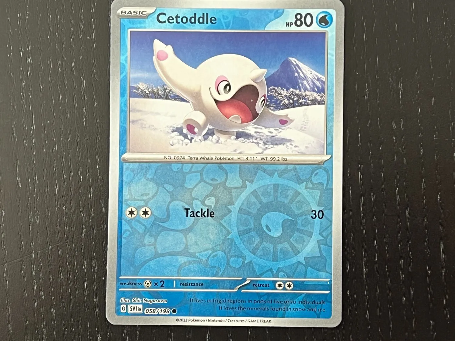 Pokémon TCG: Scarlet & Violet | The Coolest Cards We Pulled
