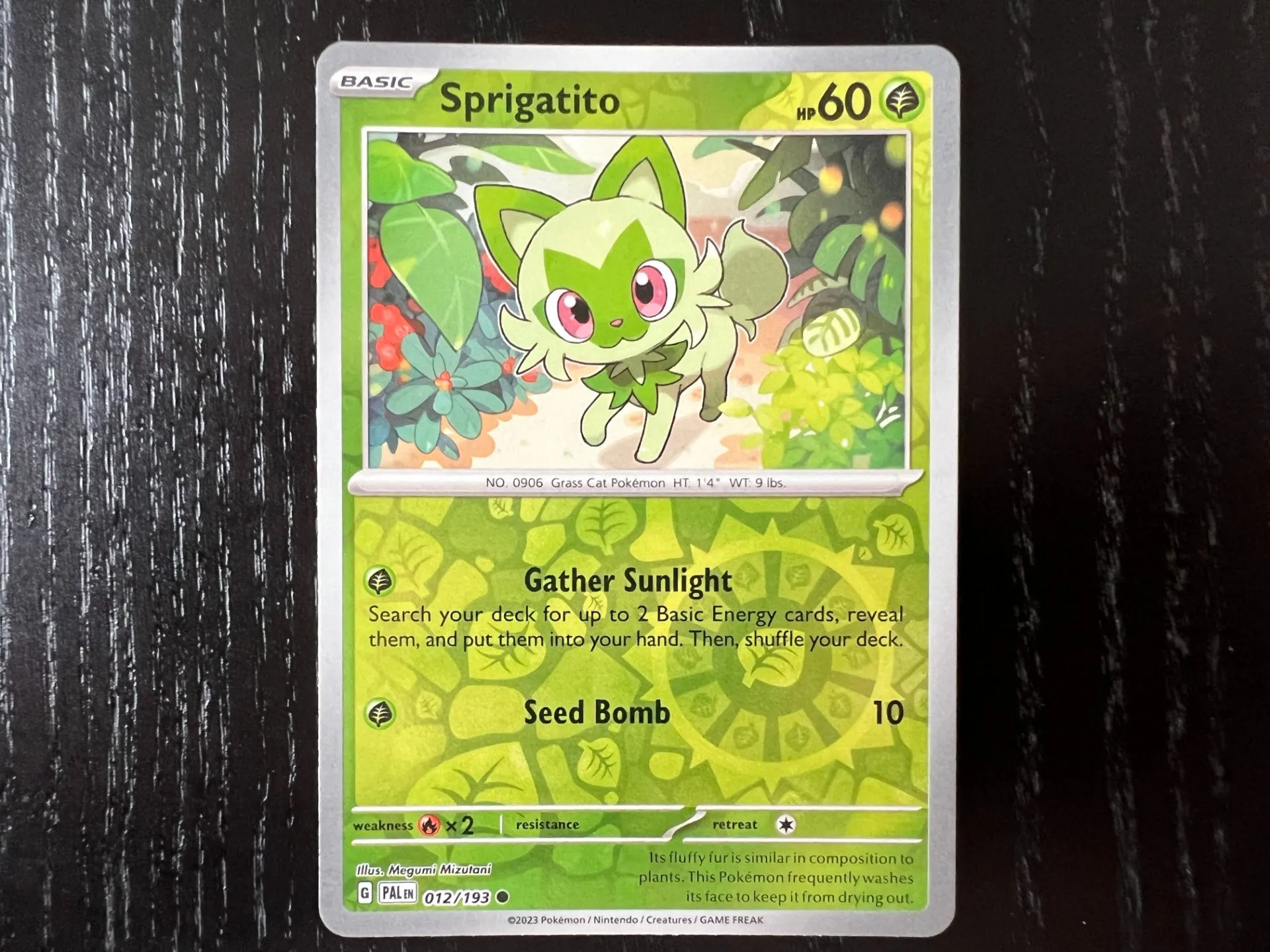 Pokémon TCG: Scarlet & Violet – Paldea Evolved | The Coolest Cards We Pulled