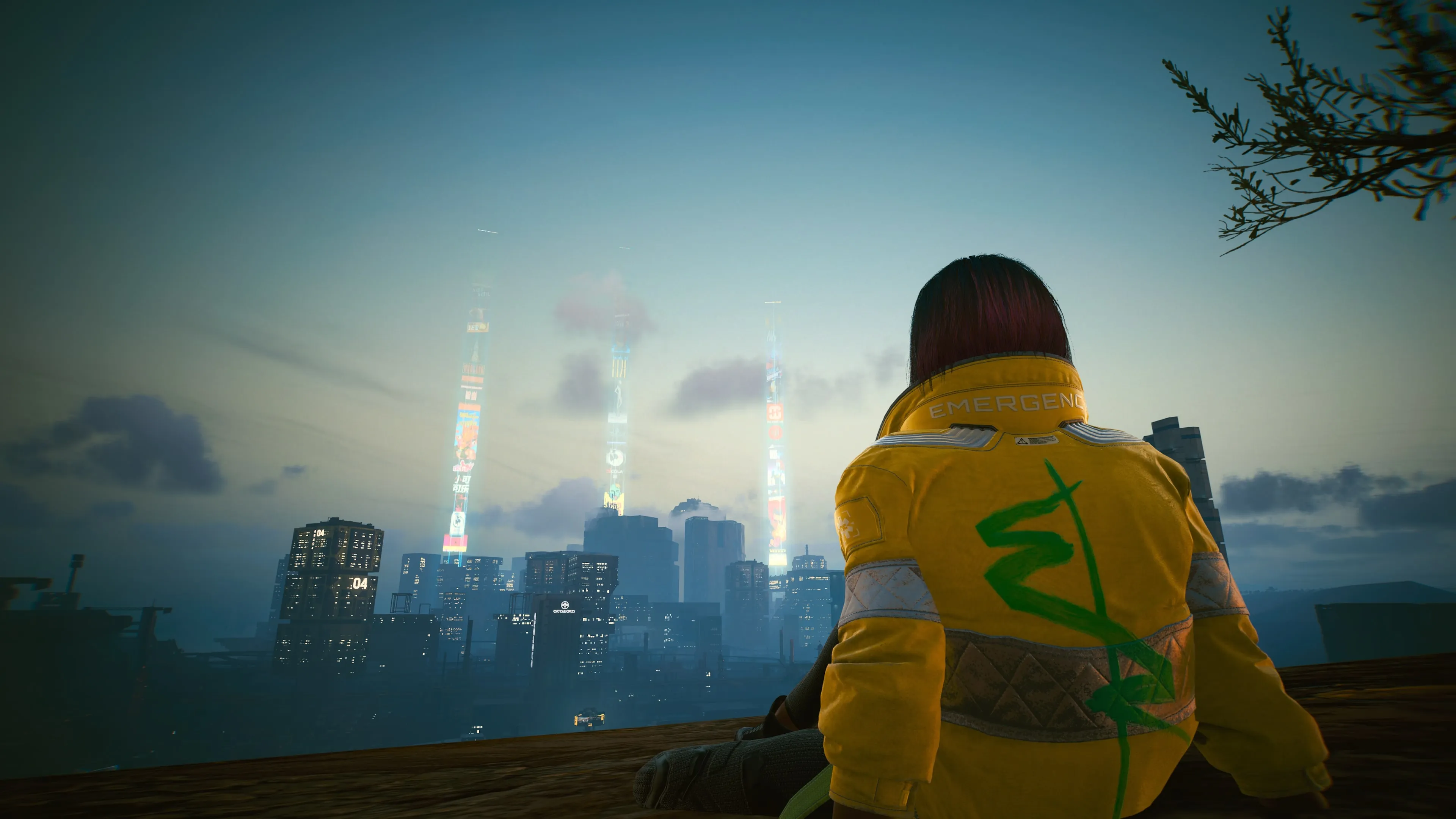 So Long, Night City