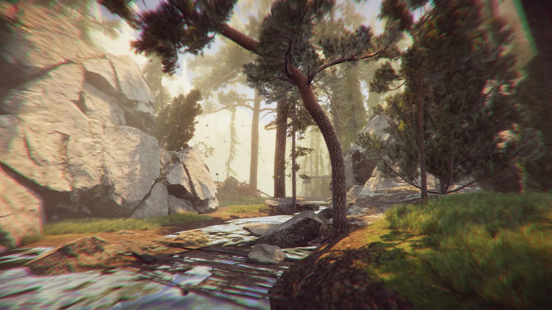 Environmental Thriller, The Forest Cathedral, Hits PS5 This Halloween