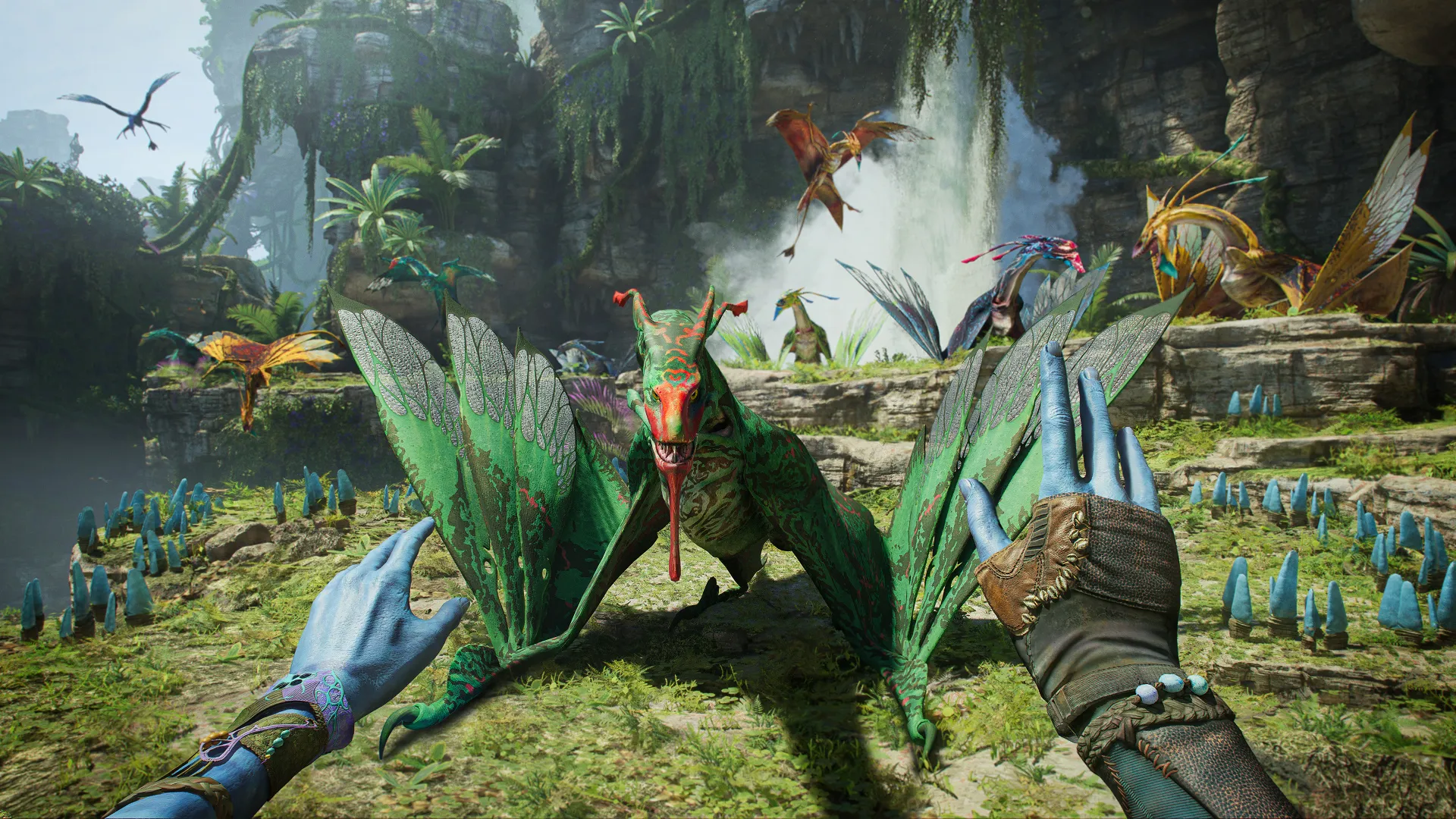 Tripping Through Jungles