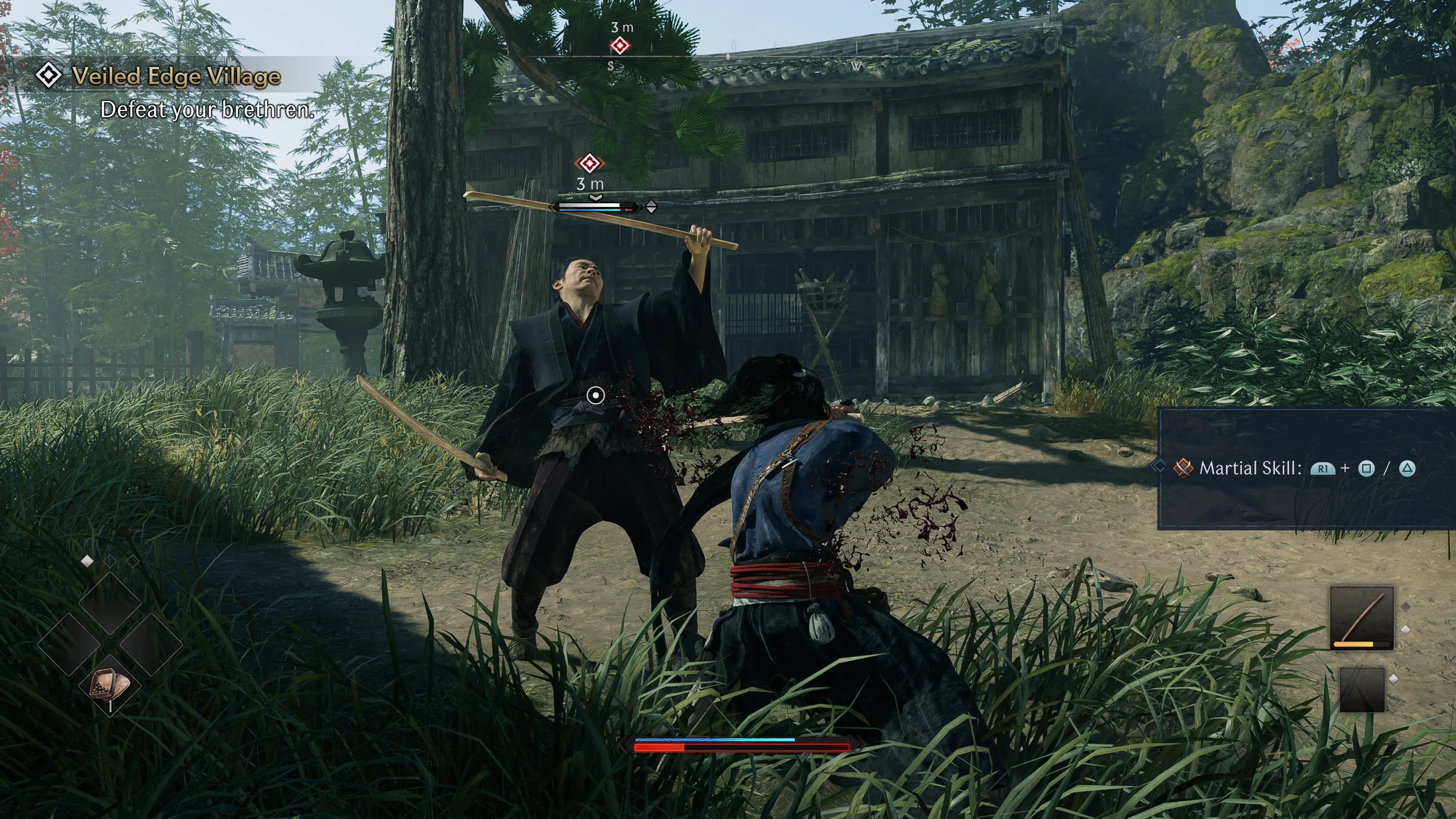 Crossed Swords