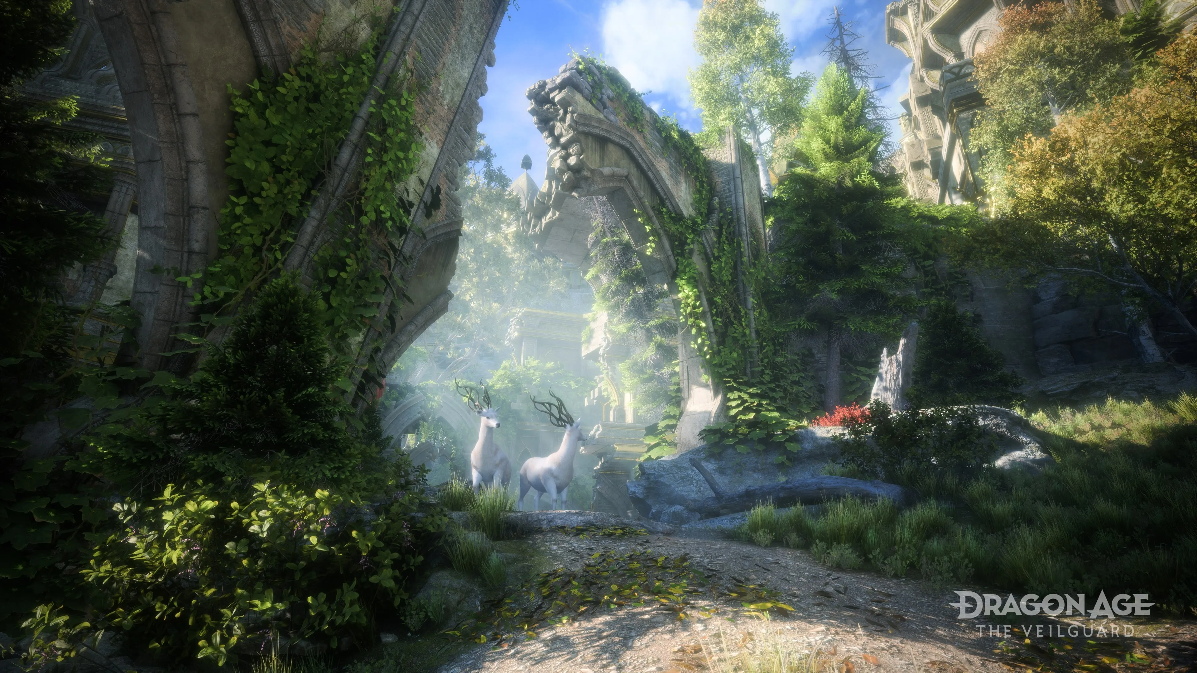BioWare On Returning To The Dragon Age Series, 10 Years After Inquisition