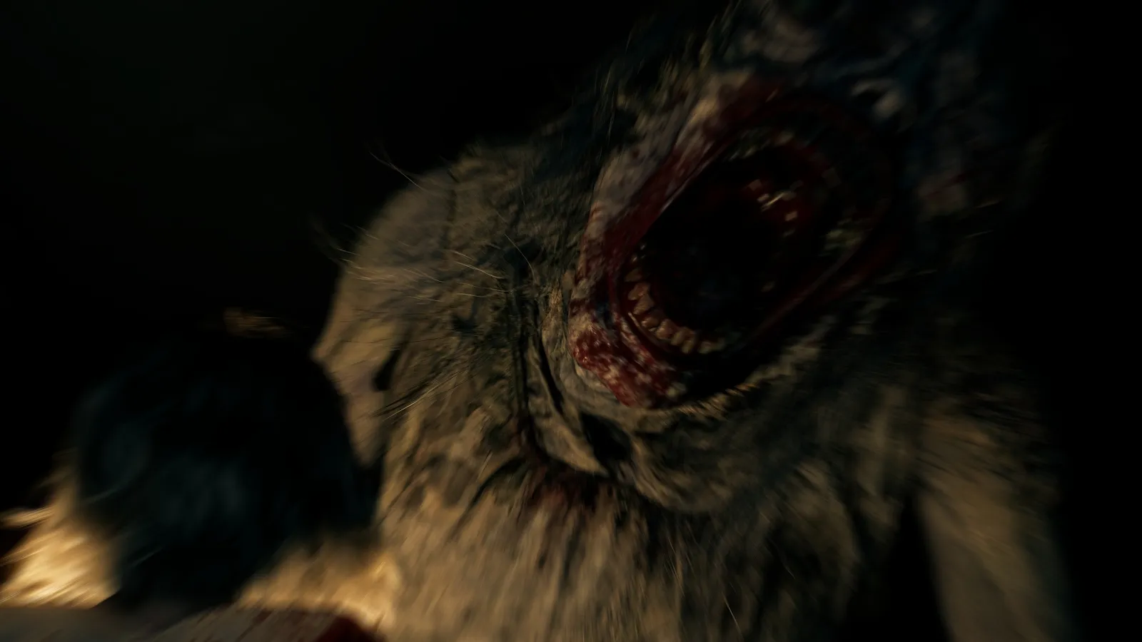 Back To Raccoon City