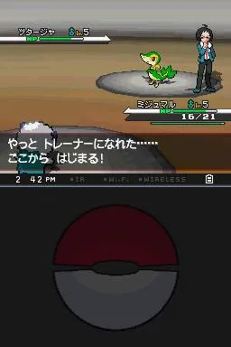Pokémon Black/White: The Original Monster Collecting Franchise Evolves
