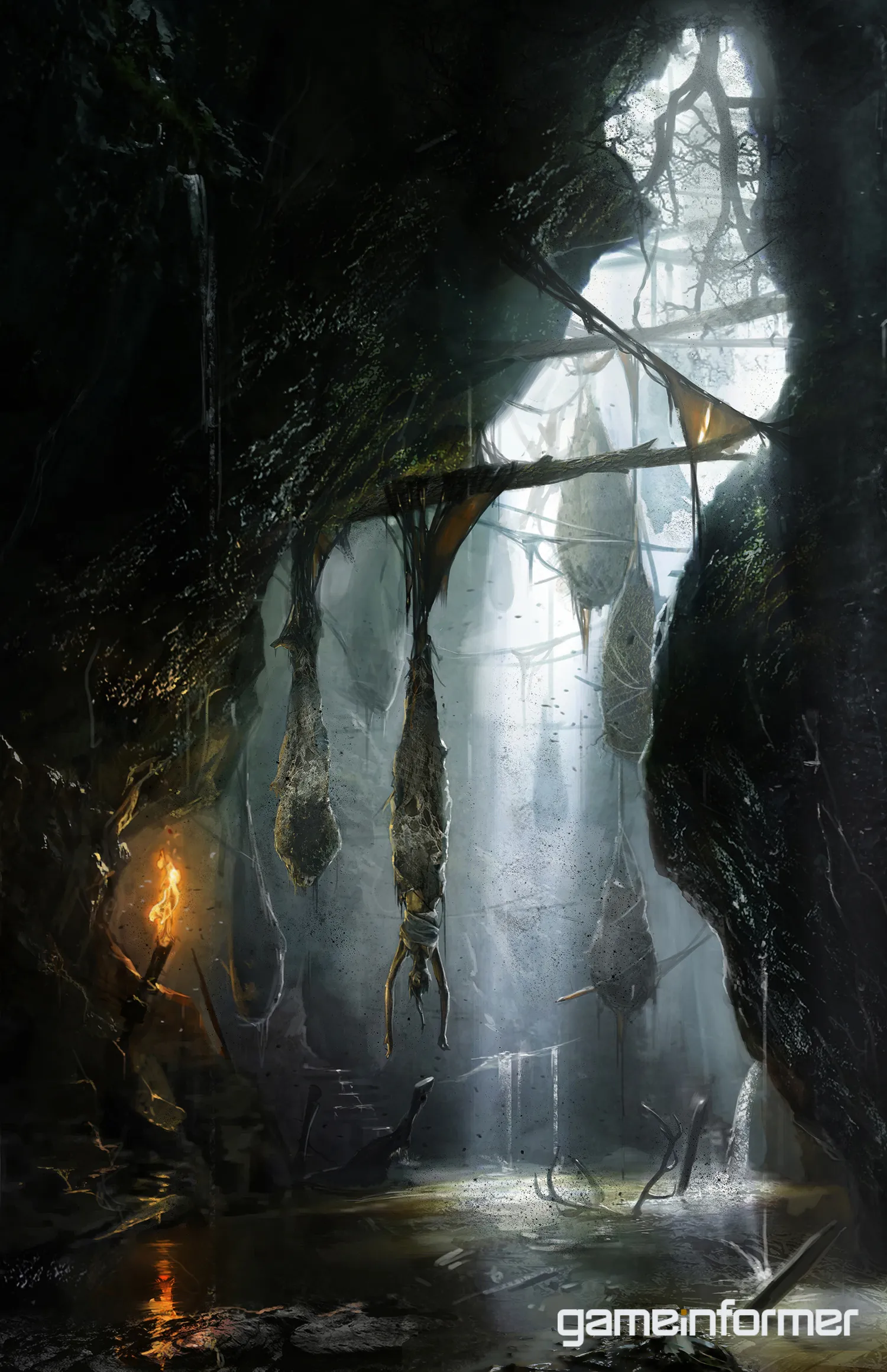 Tomb Raider Bonus Gallery